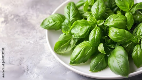 Harvesting fresh basil leaves for culinary delights kitchen food photography bright environment close-up cooking inspiration
