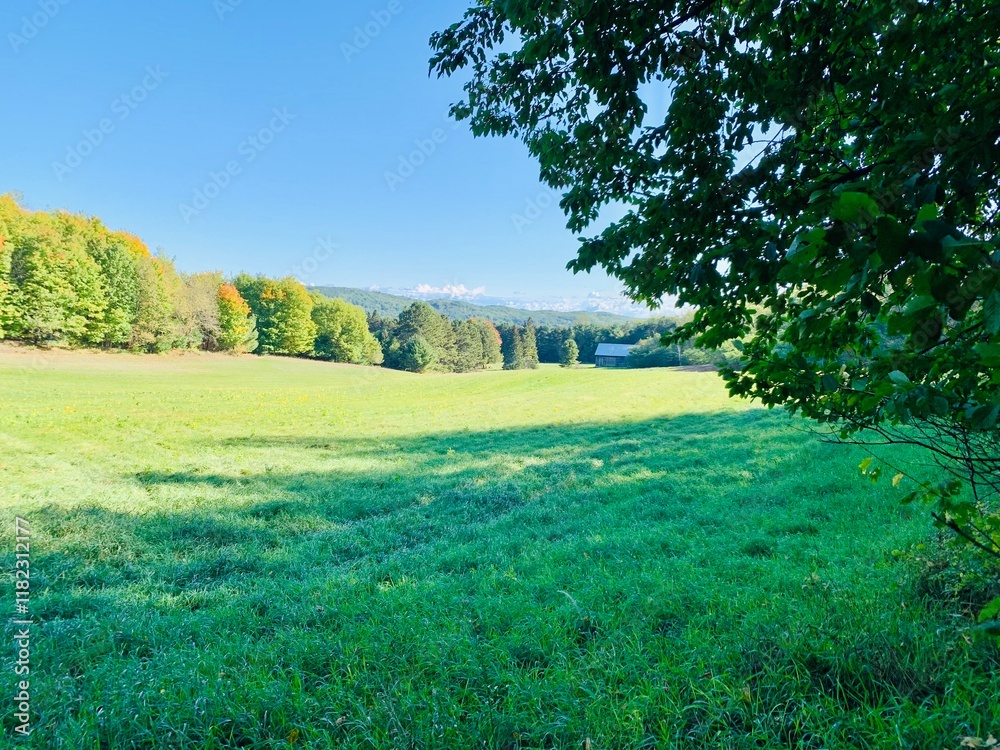 Obraz premium Michigan Meadow