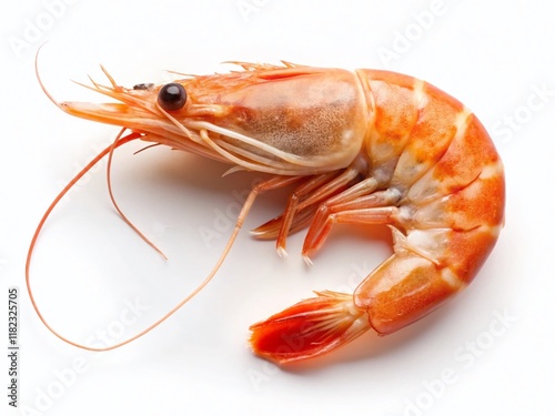 Wallpaper Mural Vintage Style Photo of Isolated Shrimp on White Background - High Resolution Stock Image Torontodigital.ca