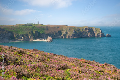 peninsule et littoral marin, Le Cap Frehel en Bretagne en été . photo