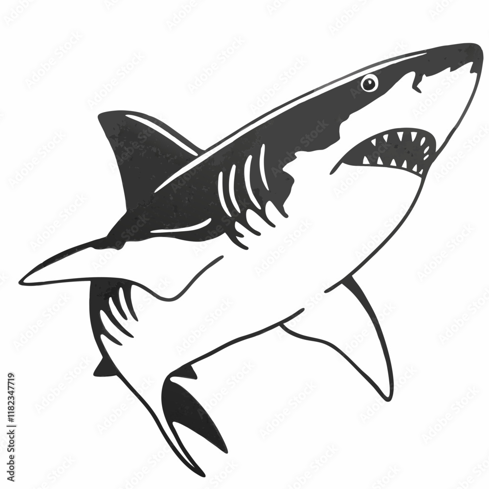 Naklejka premium shark illustration