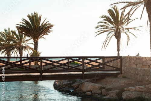 wooden bridge surrounded by palm trees over the stream that goes to the sea in Comaruga, Tarragona, Spain photo