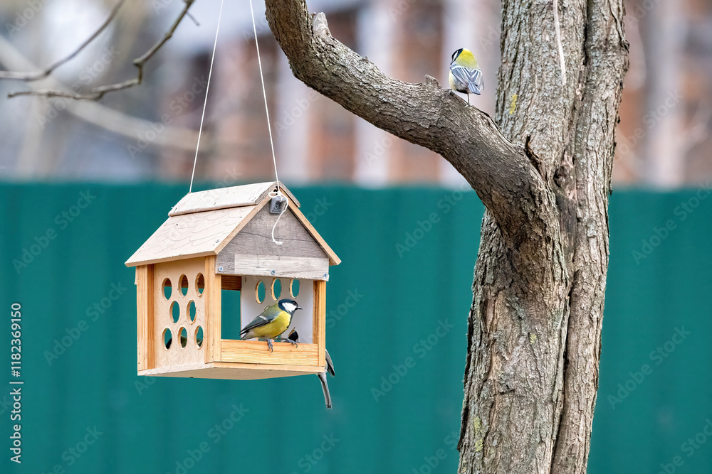 Colorful birds titmice gather around a wooden feeder in a tranquil backyard setting
