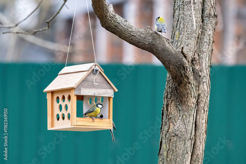 Colorful birds titmice gather around a wooden feeder in a tranquil backyard setting photo