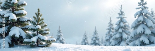 Snow-covered evergreen branches against a gray sky, branches, gray sky, evergreen