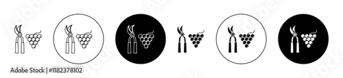 Pruning grape icons set in black filled and outlined style