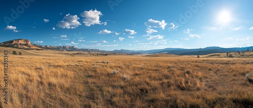 Sunny Prairie Landscape with Mountains