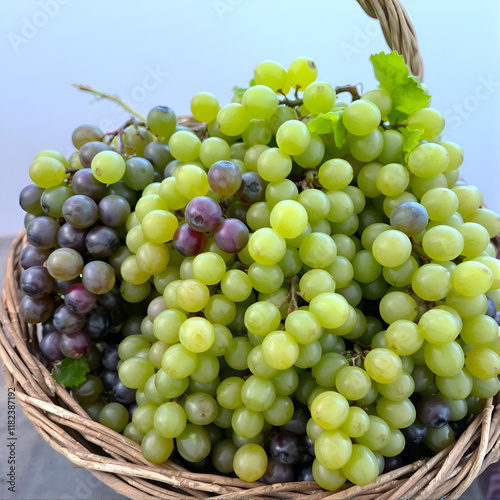 Rustic basket laden with an array of verdant grapes, meticulously arranged and adorned with a smattering of scattered clusters, showcasing their vibrant hue and pristine freshness. photo