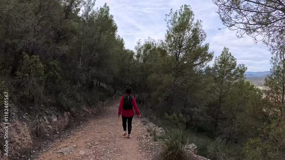 Woman walks alone on a mountain path, surrounded by green pine forests, enjoying nature and the tranquility of the environment Woman walks alone on a mountain path, surrounded by green pine forests, enjoying nature and the tranquility of the environment