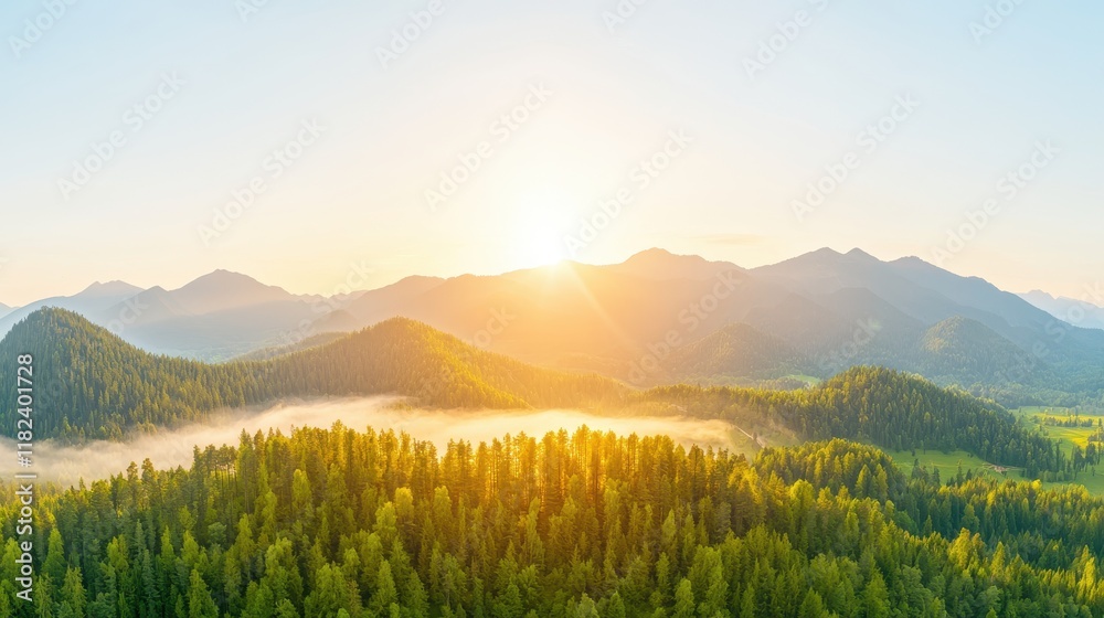 Obraz premium Serene Sunrise Over Lush Green Mountain Landscape