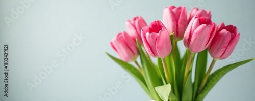 Fresh pink tulips in a vase with green branches, spring, flowers, vase