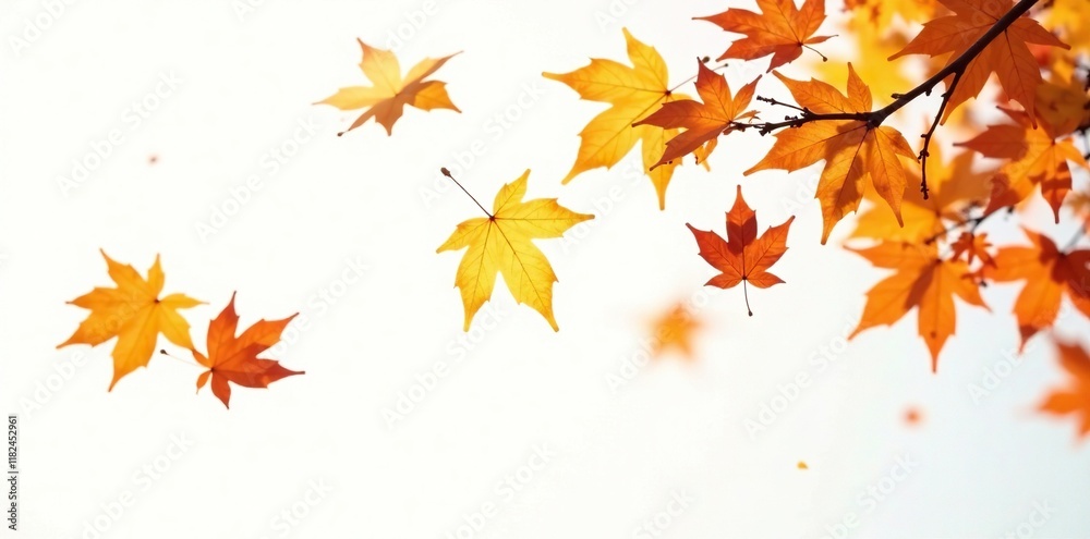 Falling amber leaves drift gently in the breeze isolated on a white background, autumn leaves, serene scene Falling amber leaves drift gently in the breeze isolated on a white background, autumn leaves, serene scene