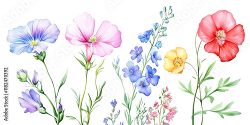 Colorful Floral Arrangement of Wildflowers on White or Transparent Background