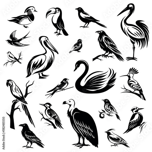 
set of icons, symbols of bird species on white background