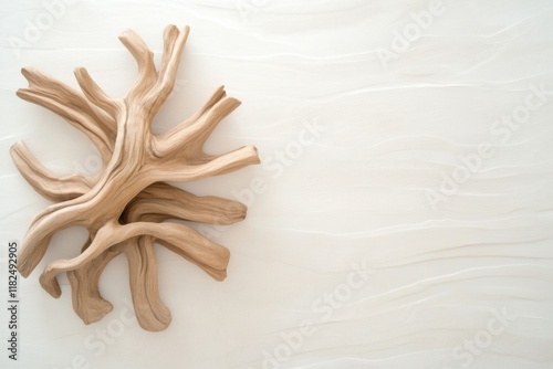 Minimalist product display featuring elegant driftwood on sandy surface with soft lighting to enhance natural aesthetics photo