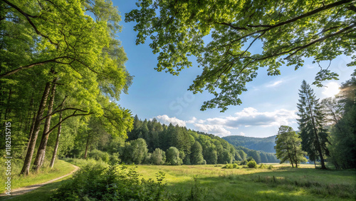 Pictures of beautiful landscapes