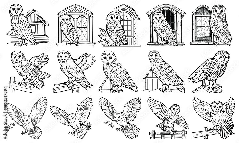Obraz premium Barn Owl Drawing for Kids, Line Art for Adults, Isolated on White, Ideal for Early Learning, Fun Toddler Activity, Creative Art, Great for Kids' Activity Books and Educational Art Fun.