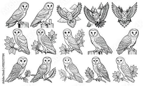 Barn Owl Drawing for Kids, Line Art for Adults, Isolated on White, Ideal for Early Learning, Fun Toddler Activity, Creative Art, Great for Kids' Activity Books and Educational Art Fun.