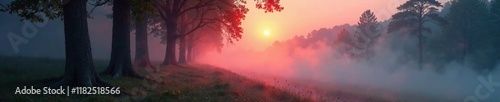 Softly glowing fog wraps around tree trunks in misty valley dawn, soft, peaceful, warm photo