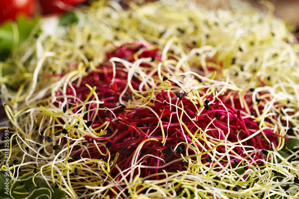 Close up of fresh red beet and leek sprouts or microgreens Close up of fresh red beet and leek sprouts or microgreens