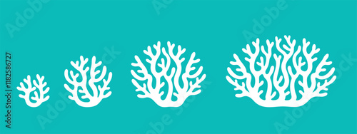 Crop stages of coral. Isolated coral on white background