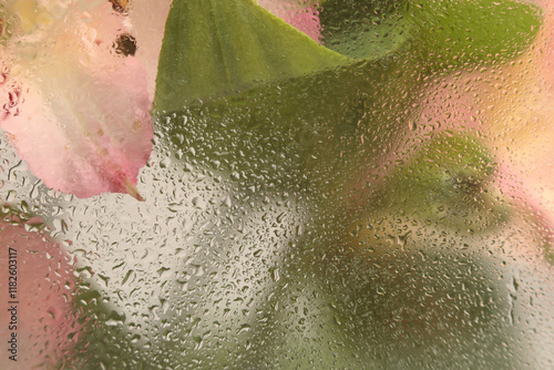 Wallpaper Mural Soft focus  flower bouquet through glass with wet water drops. Abstract nature blur beige pastel background. Torontodigital.ca