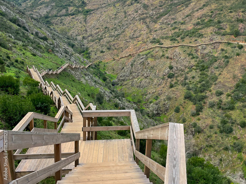 Wooden Path Through Barranco do Demo, Alferce, Portugal photo