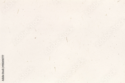 FEUILLE DE PAPIER BEIGE CLAIR AVEC FIBRES DE PAILLE