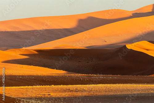 Sand dunes pattern in the Nambi Desert photo