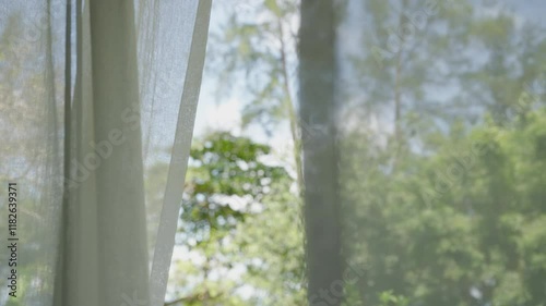 window in the morning. Wind blowing white curtain from open window living room tree garden outside background. 