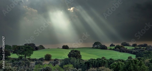 Photos landscape countryside grass oaks sun rays after storm romantic