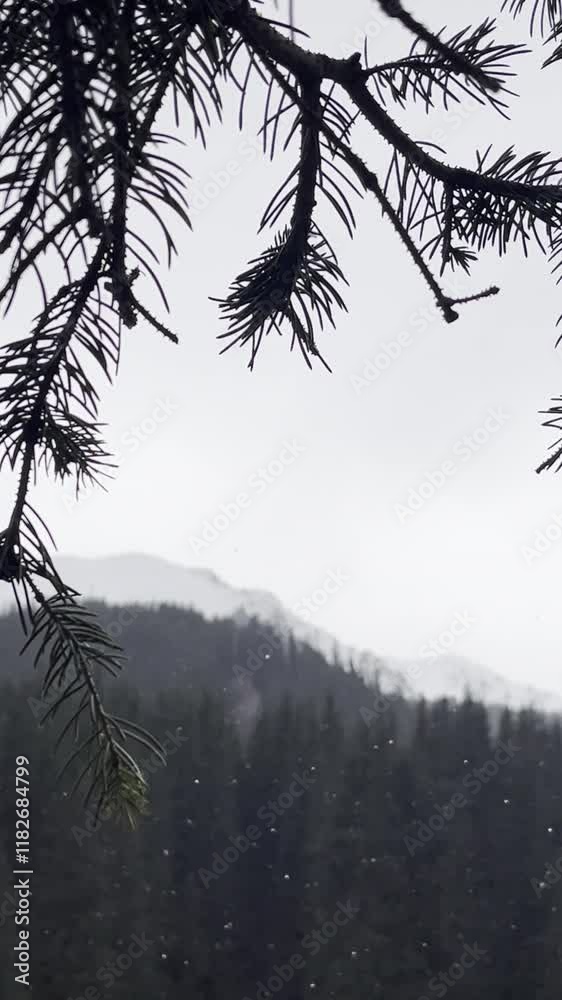 It's raining in the mountains It's raining in the mountains