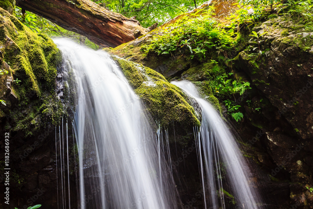 Obraz premium A waterfall with moss growing on the rocks