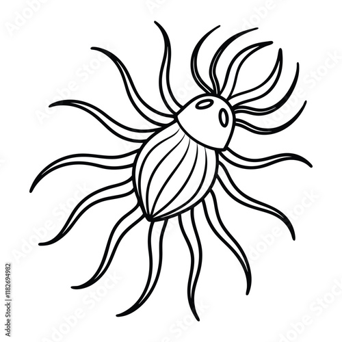 Delicate Marine Plankton Line Art Designs