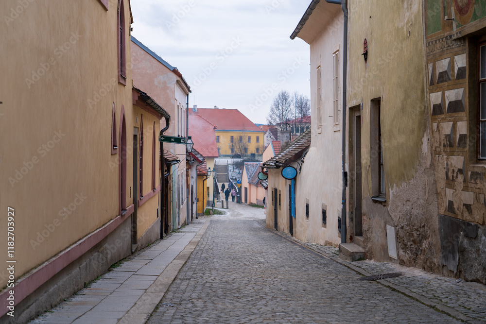 Fototapeta premium Telc, Czech Republic - January 4, 2025: Cityscape in the city center. Cityscapes of Telc, a historic city in the Czech Republic.