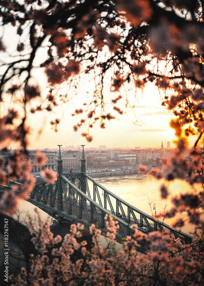 Beautiful Liberty Bridge with almond blossom in Budapest, Hungary