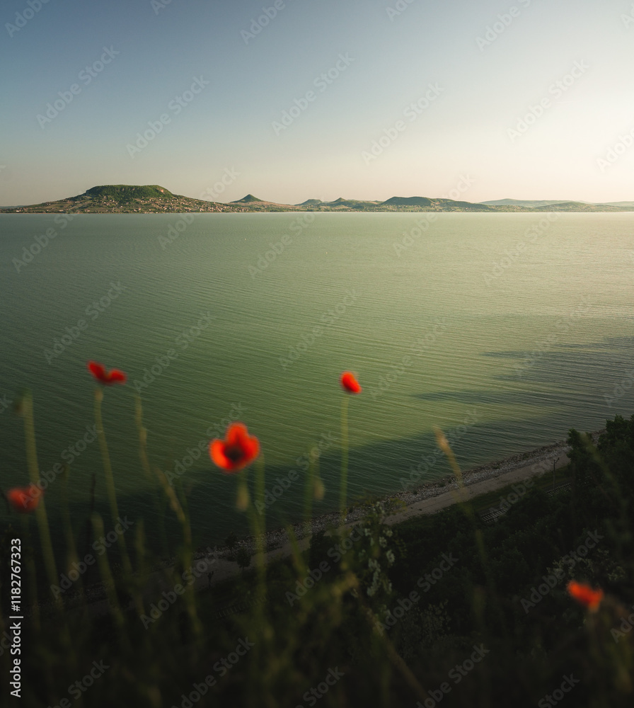 View on lake Balaton with poppies
