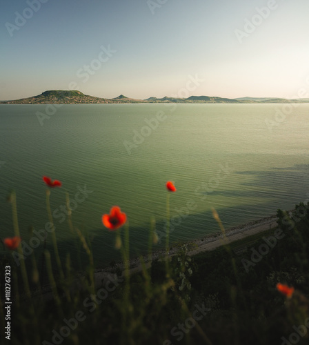 Obraz na płótnie View on lake Balaton with poppies w salonie