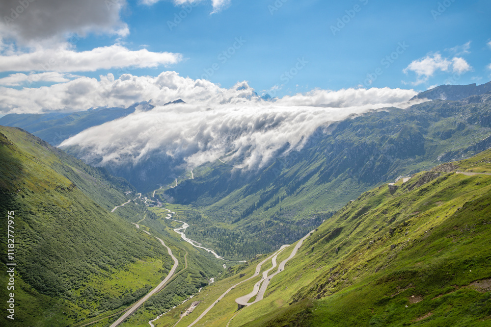 Fototapeta premium The 