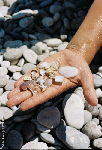 A hand collecting seashells on a pebbly beach during a sunny day