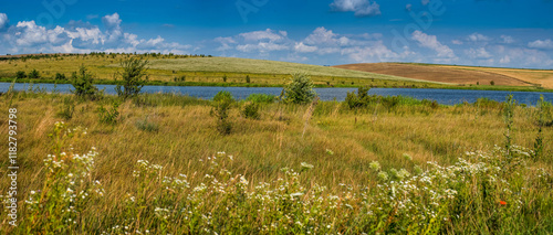 countryside with various wild grasses on the shore of a reservoir, sky with c...