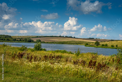 various wild grasses on the shore of a reservoir, blue sky with clouds