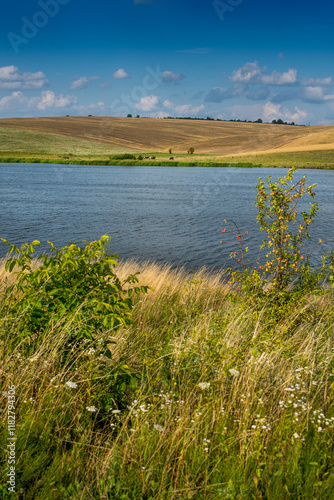 dry grasses on the shore, wild summer flowers, view across a pond to hills of...