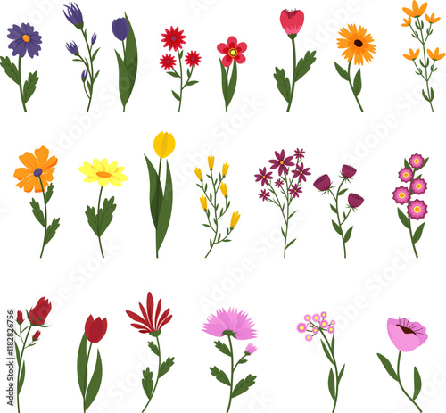 Set with different flowers. Spring and summer flowers. For cards and decor. Vector illustration