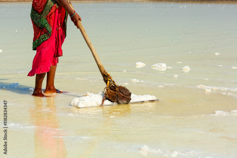 India. Great Rann of Kutch, salt marsh in Thar Desert. One of the largest salt deserts in the world. Harvesting salt.