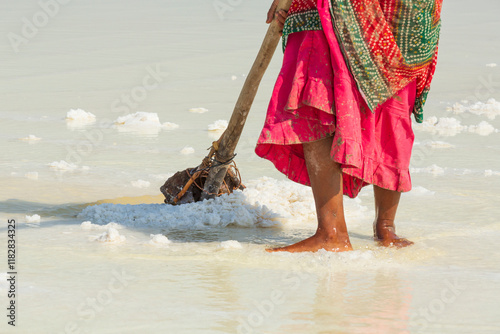 India. Great Rann of Kutch, salt marsh in Thar Desert. One of the largest salt deserts in the world. Harvesting salt. photo