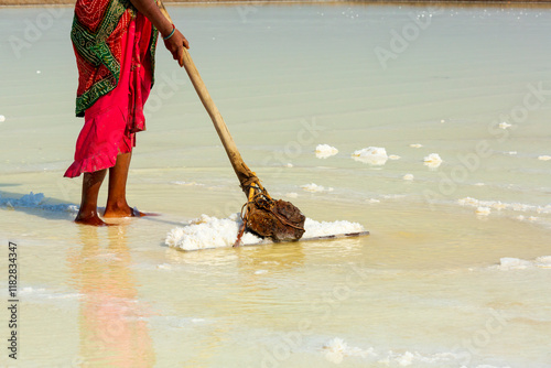 India. Great Rann of Kutch, salt marsh in Thar Desert. One of the largest salt deserts in the world. Harvesting salt. photo