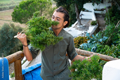 Handsome man with marihuana / CBD plant