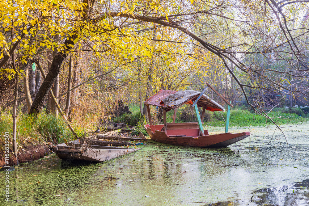 Rainawari, Srinagar, Jammu and Kashmir, India. Abandoned shikara boats at Dal Lake. Rainawari, Srinagar, Jammu and Kashmir, India. Abandoned shikara boats at Dal Lake.