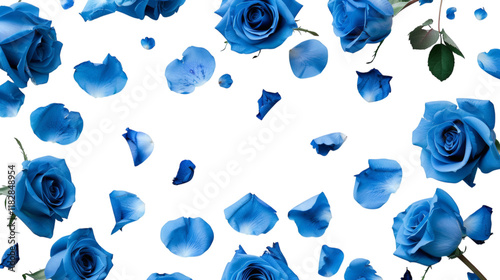 Blue roses, petals falling down, white background, simple style, high-definition photography, many blue rose flowers on the left side of the screen, white space in the center, white background,